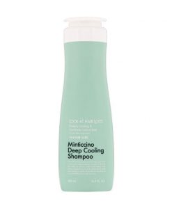 охлаждающий шампунь для жирной кожи головы daeng gi meo ri look at hair loss minticcino deep cooling shampoo